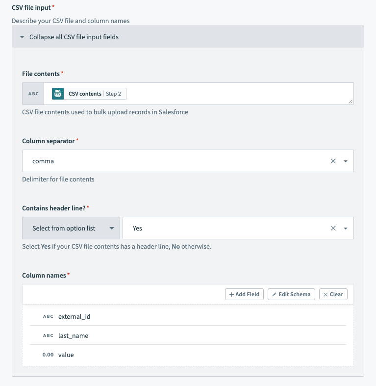 Salesforce のバルクアクション - 設定済みの [CSV file input] セクション