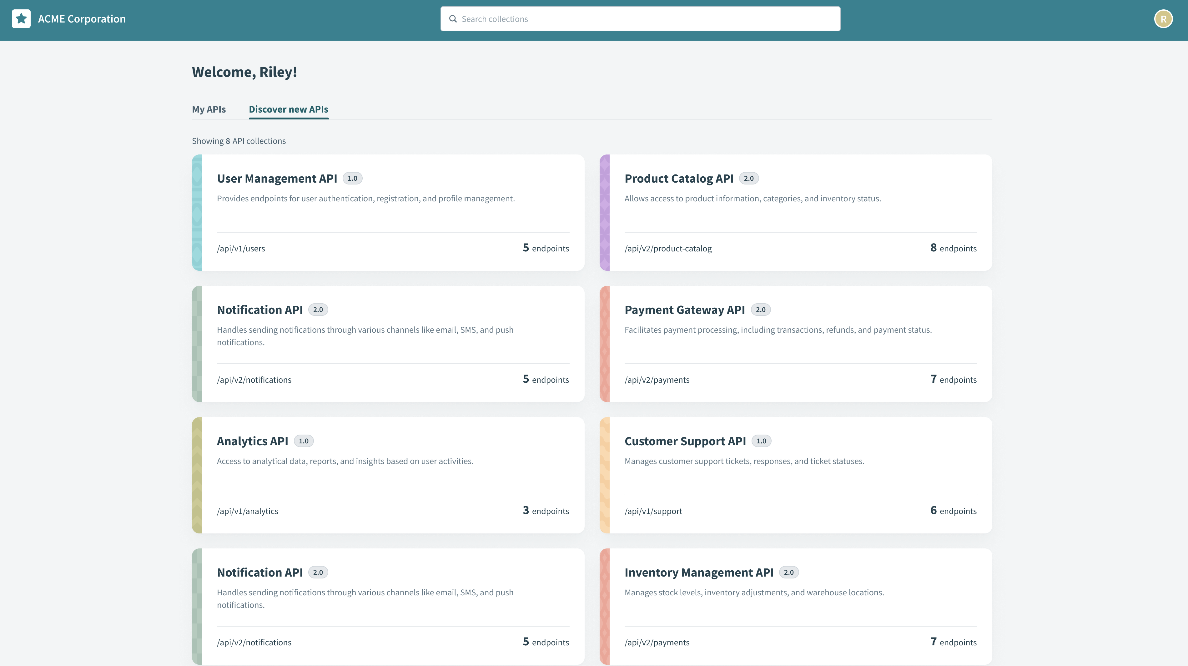 API developer portal