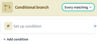 The conditional branch drop-down menu