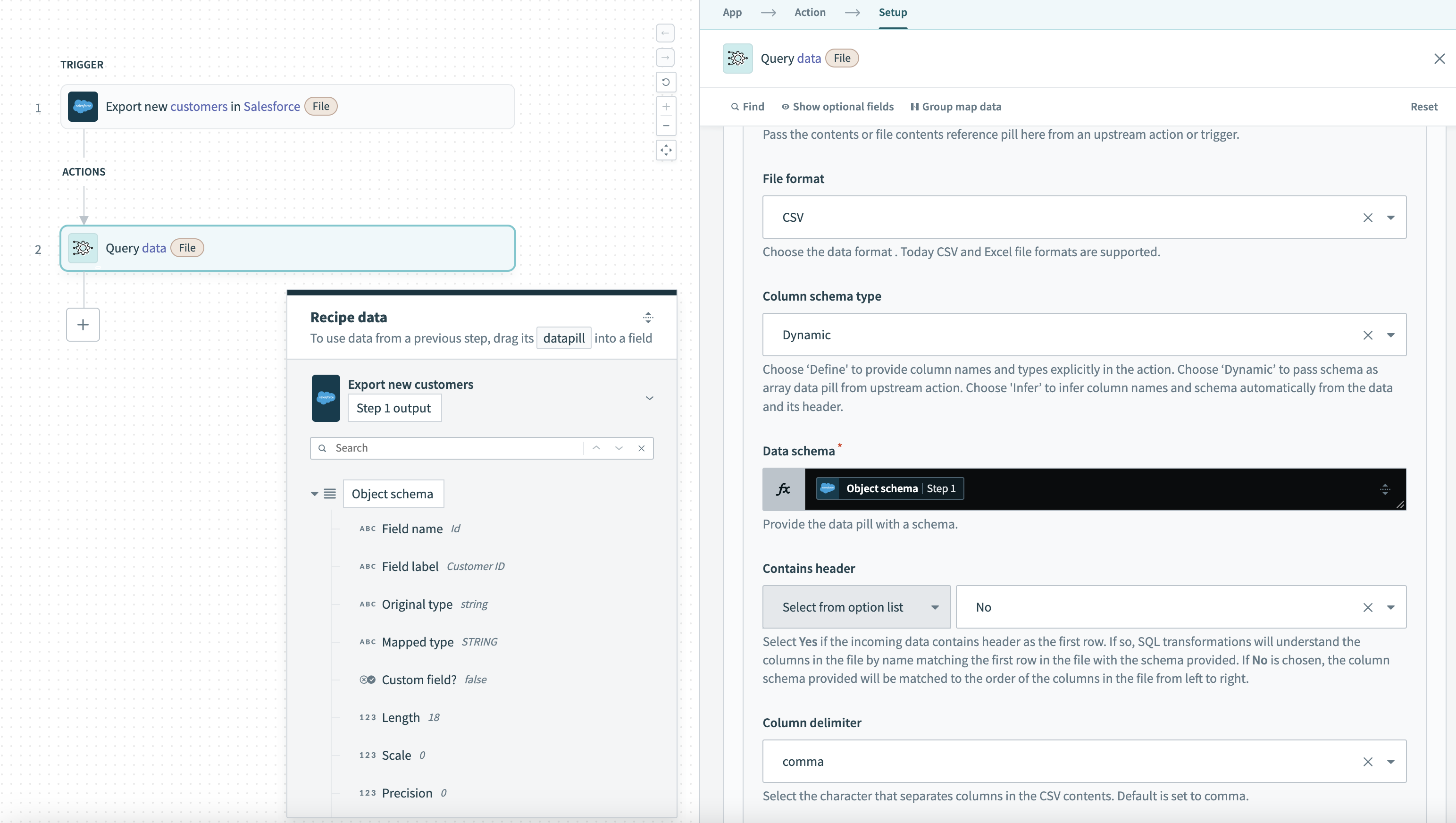 Data source example setup for Salesforce dynamic schema