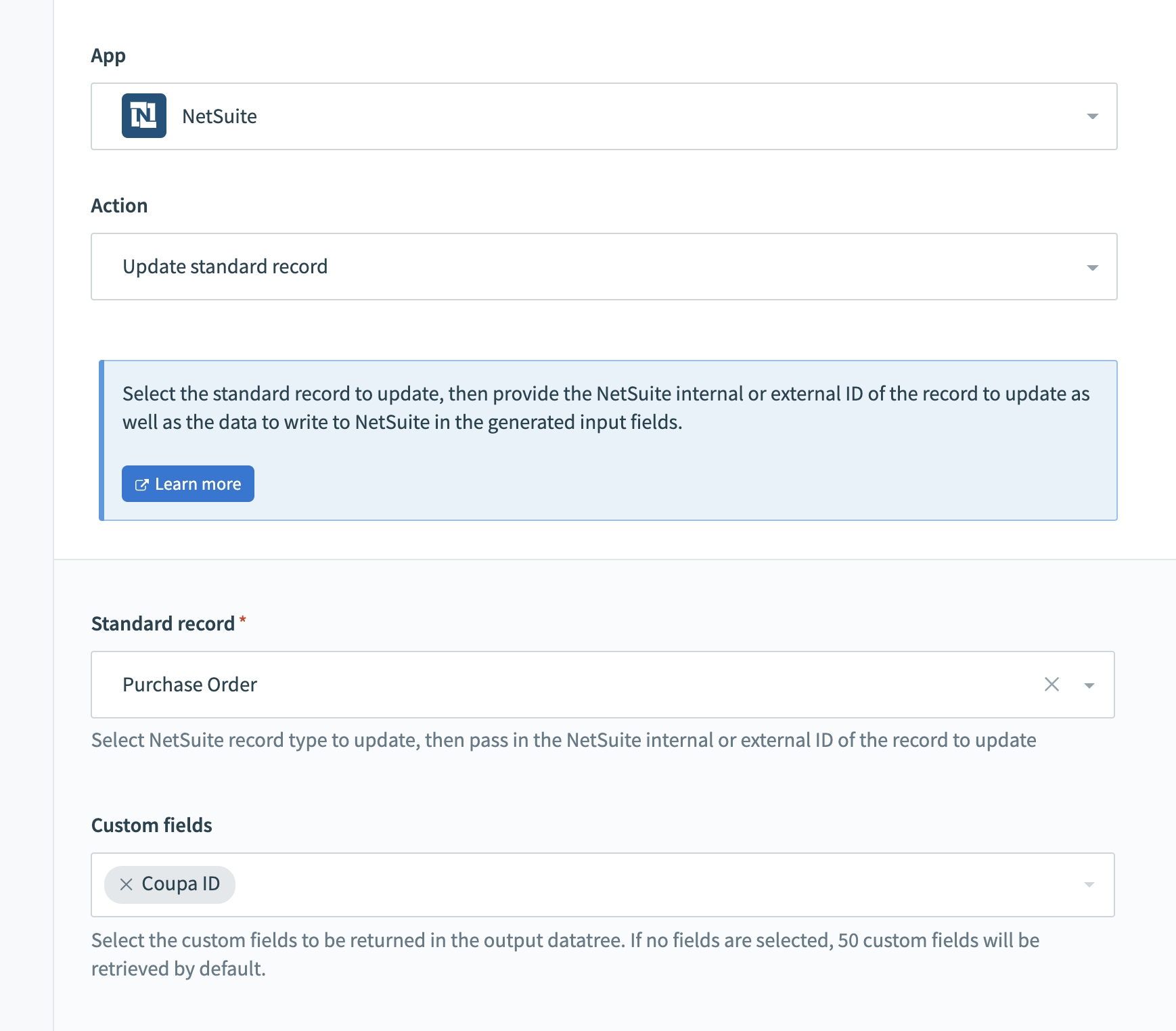 NetSuite custom fields