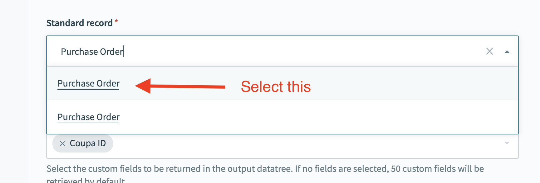 NetSuite custom fields