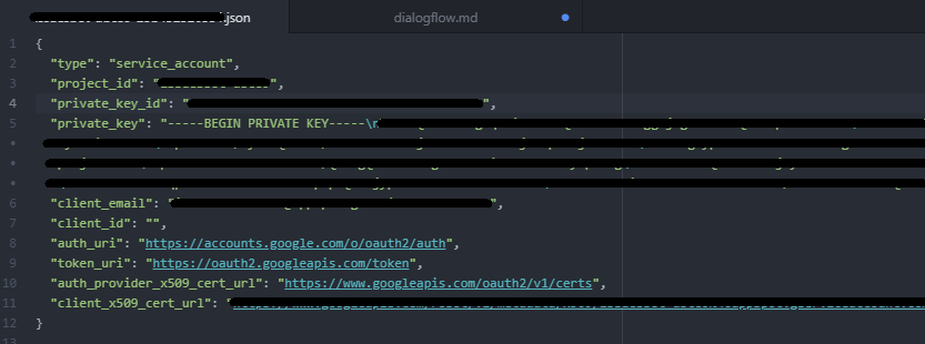 テキストエディターに表示された JSON 秘密鍵